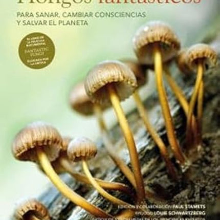 HONGOS FANTASTICOS | VARIOS