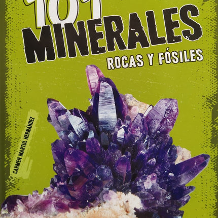 101 MINERALES ROCAS Y FOSILES