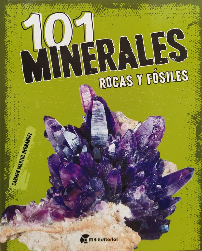 101 MINERALES ROCAS Y FOSILES