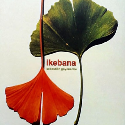 IKEBANA | SEBASTIAN GOYENECHE
