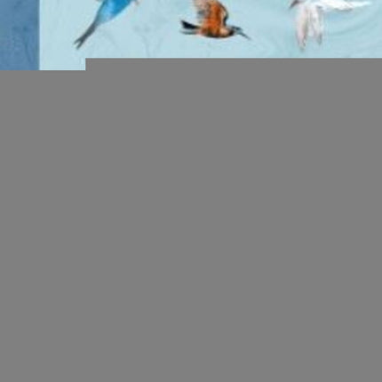 LEYENDA DE LAS MAREAS MANSAS, LA | IRENE VALLEJO