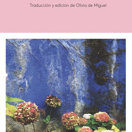 DIARIO DE VIRGINIA WOOLF VOL. III (1925-1930), EL | ANNE OLIVIER BELL