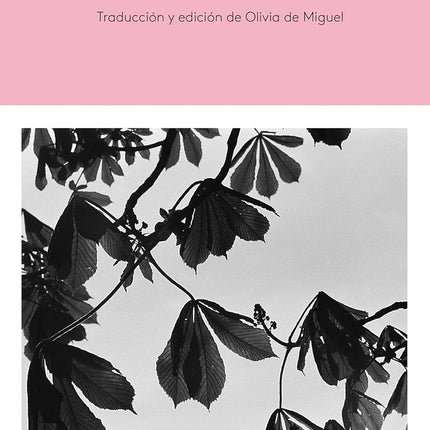 DIARIO DE VIRGINIA WOOLF VOL. IV (1931-1935), EL | ANNE OLIVIER BELL