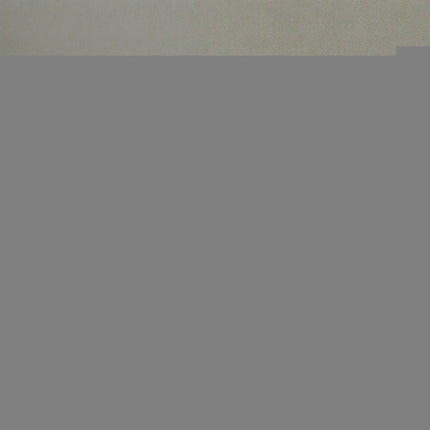 THE TORTURED POETS DEPARTMENT - THE ALBATROSS | TAYLOR SWIFT