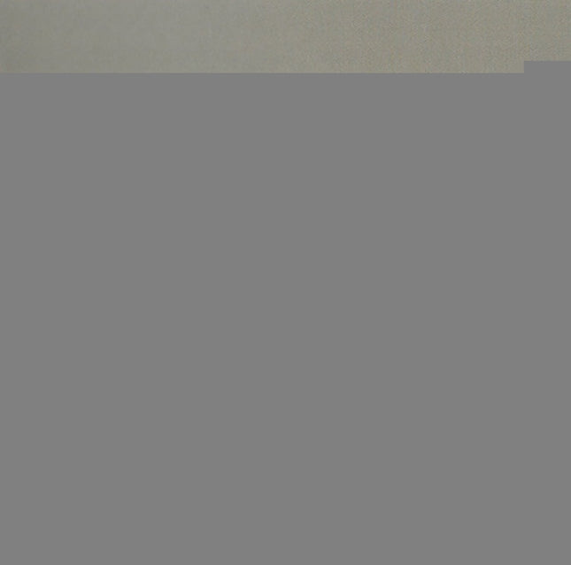 THE TORTURED POETS DEPARTMENT - THE ALBATROSS | TAYLOR SWIFT