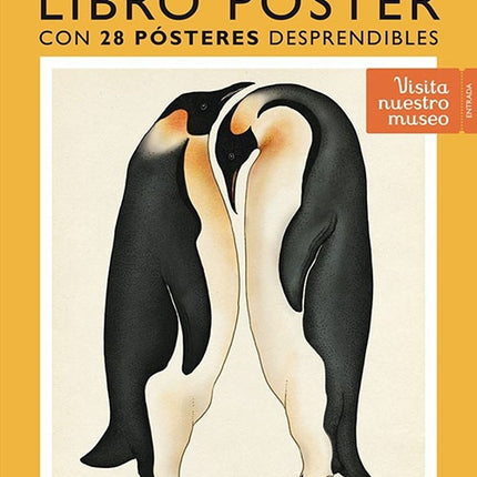 ANIMALIUM LIBRO POSTER | KATIE SCOTT