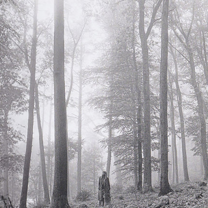 FOLKLORE | TAYLOR SWIFT