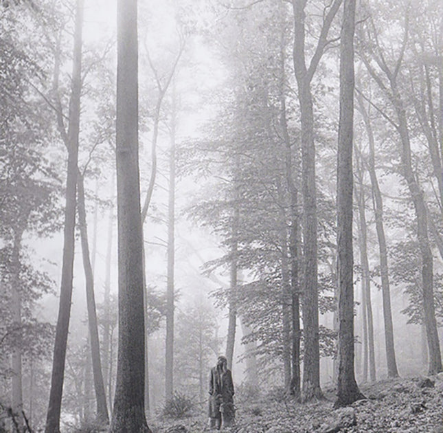 FOLKLORE | TAYLOR SWIFT