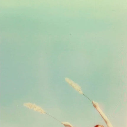 NO SOÑARAS FLORES | FERNANDA TRIAS