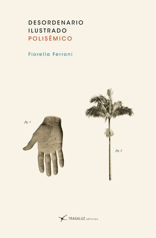 DESORDENARIO ILUSTRADO | FIORELLA FERRONI