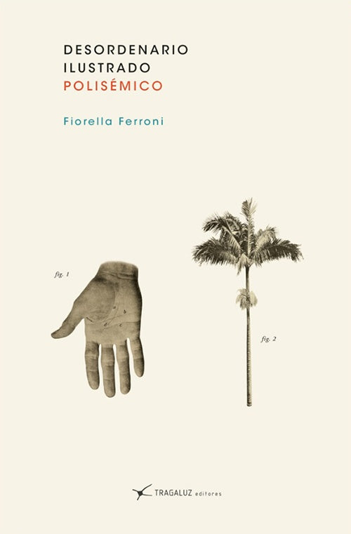 DESORDENARIO ILUSTRADO | FIORELLA FERRONI