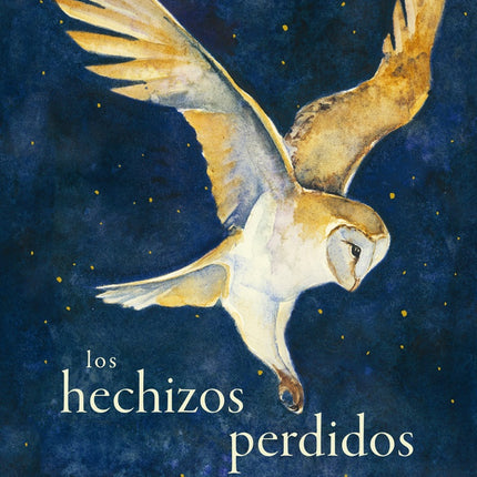 HECHIZOS PERDIDOS, LOS | ROBERT MAcFARLANE