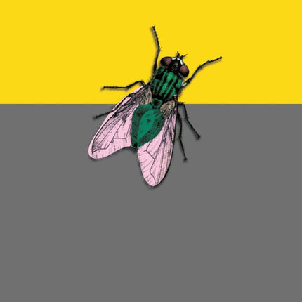 FRUTA PODRIDA | LINA MERUANE