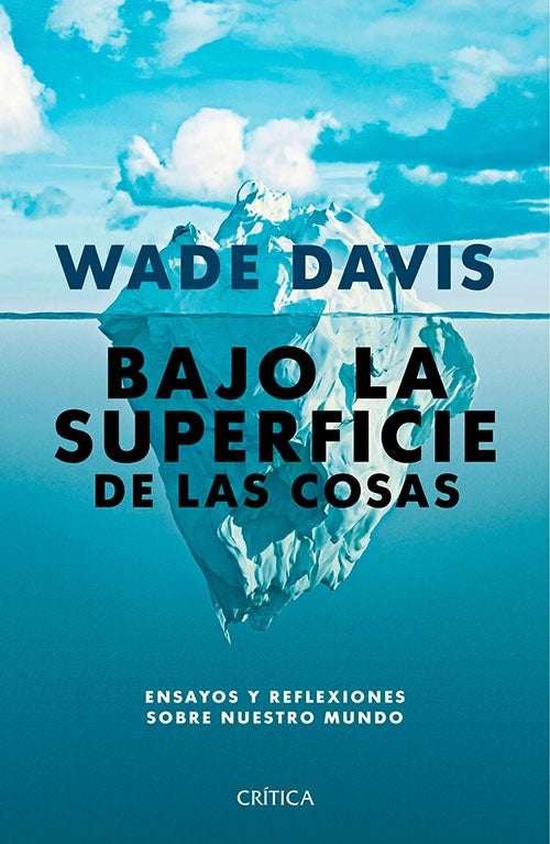 BAJO LA SUPERFICIE DE LAS COSAS | WADE DAVIS